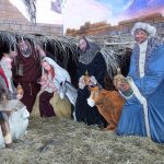 Advent auf dem Neumarkt