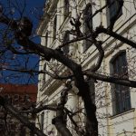 Beginnender Blütenzauber am Landhaus