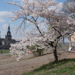 Standort Carolabrücke